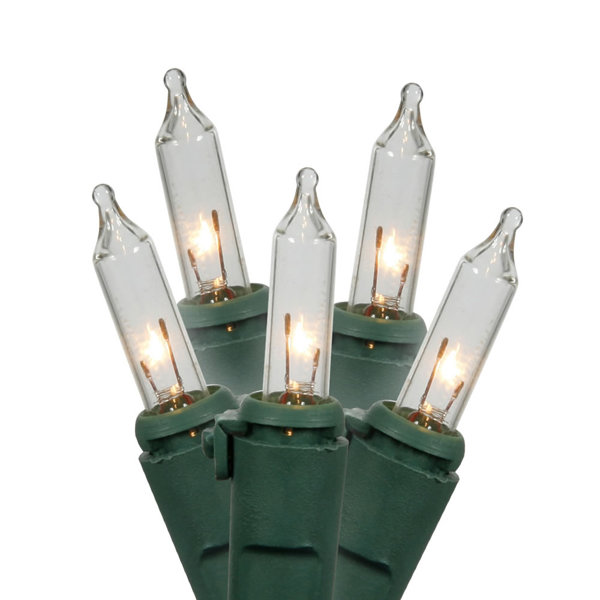 100 Light Set by Vickerman