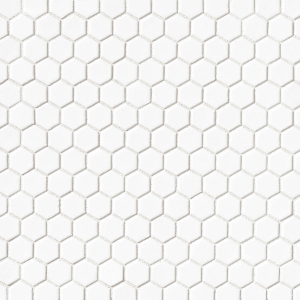 Hex 1 x 1 Porcelain Mosaic Tile in White by Grayson Martin
