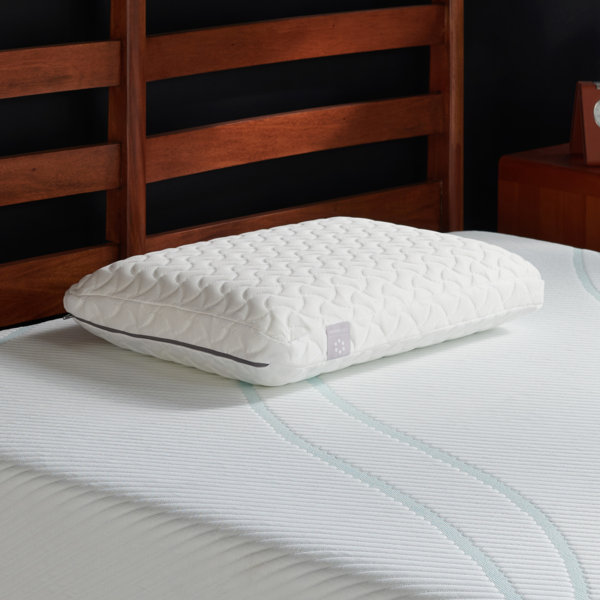 Tempur Pedic Cloud Pillow Wayfair