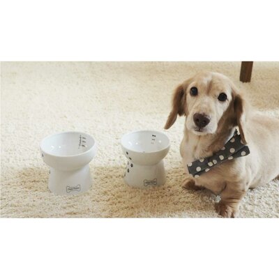 raised dog food feeder