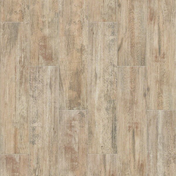 Celestial Plank 8 x 36 Ceramic Field Tile in Natural by Shaw Floors