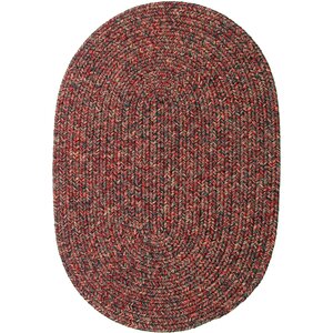 Revelganj Red Indoor/Outdoor Area Rug