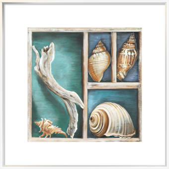 Evive Designs Vintage Seashells Iii By Julia Kearney Framed Graphic Art Wayfair