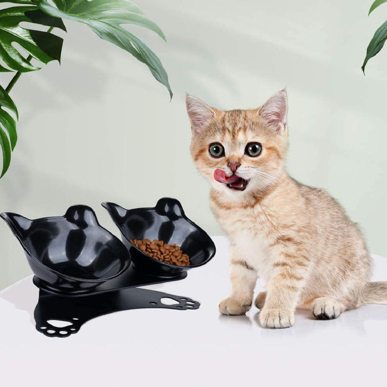 plastic cat dishes