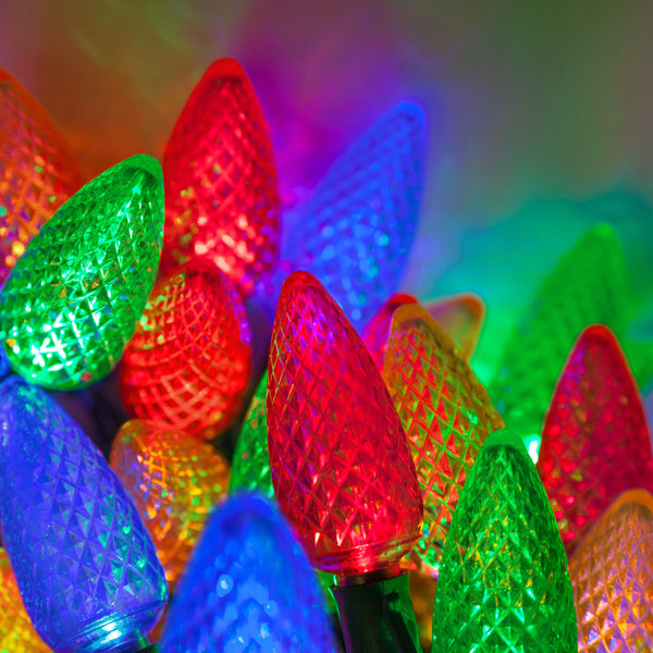 25 C7 LED Christmas Lights by The Holiday Aisle