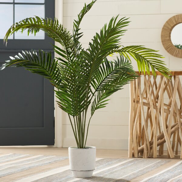 Shop Esters 60" Artificial Palm Plant from Wayfair on Openhaus