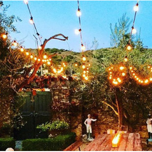 Best 20-Light Globe String Lights By Aspen Brands Outdoor Lighting 20-Light Globe String Lights By Aspen Brands Outdoor Lighting