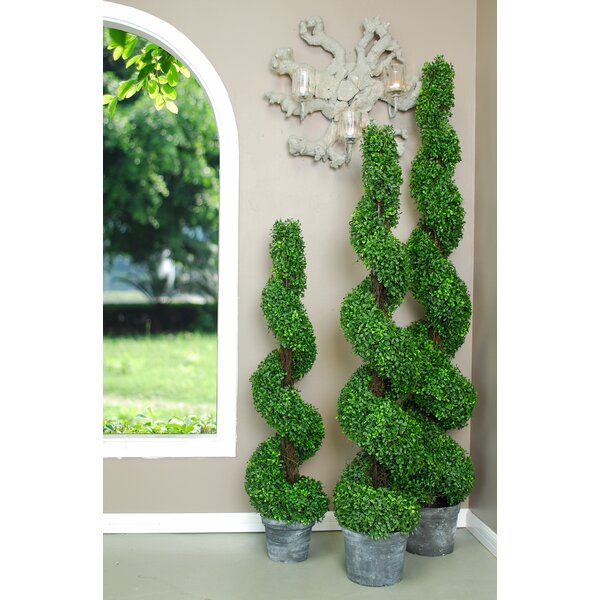 Boxwood Spiral 36 Faux Tree by Three Posts