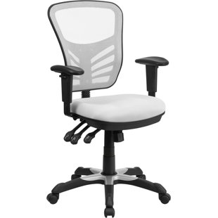 https://secure.img1-ag.wfcdn.com/im/38190734/resize-h310-w310%5Ecompr-r85/3900/39008252/ayers-mid-back-mesh-desk-chair.jpg