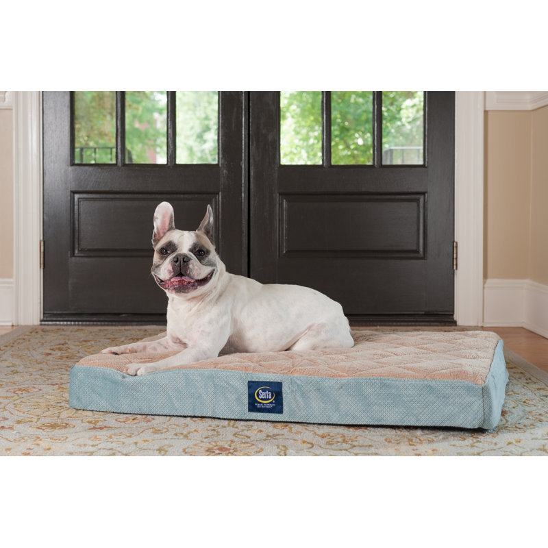 serta ortho foam quilted pillowtop pet bed