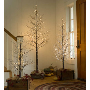 4 Snowy Birch Tree 4 Snowy Birch Tree