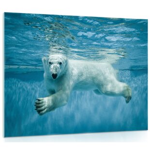 East Urban Home Polar Bear Laying on Rocks Photographic Print on Canvas ...