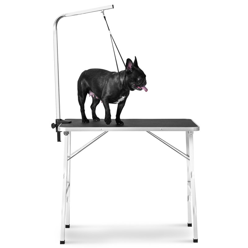 adjustable grooming table