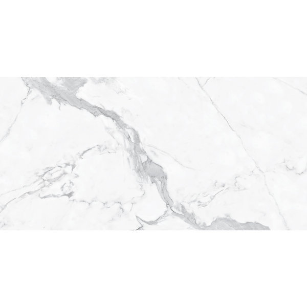 23.6 x 47.2 Porcelain Field Tile in Glossy Light Gray by Abolos
