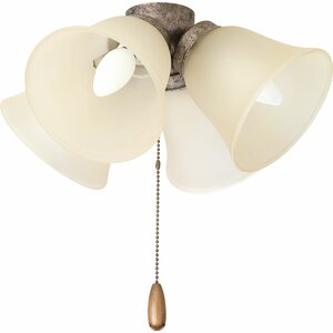 4-Light Branched Ceiling Fan Light Kit