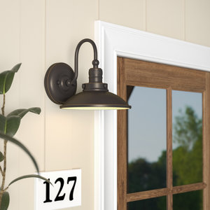 Fannie 1-Light Outdoor Barn Light