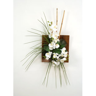 Dried Flower Wall Arrangements Wayfair Silk Orchid Bamboo And Gr Wall Arrangement In Wood Sushi Tray