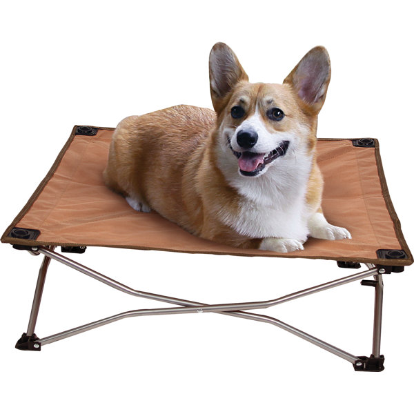 Carlson Pet Wayfair.ca