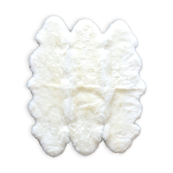 Rolande Hand-Woven Sheepskin White Area Rug by Everly Quinn