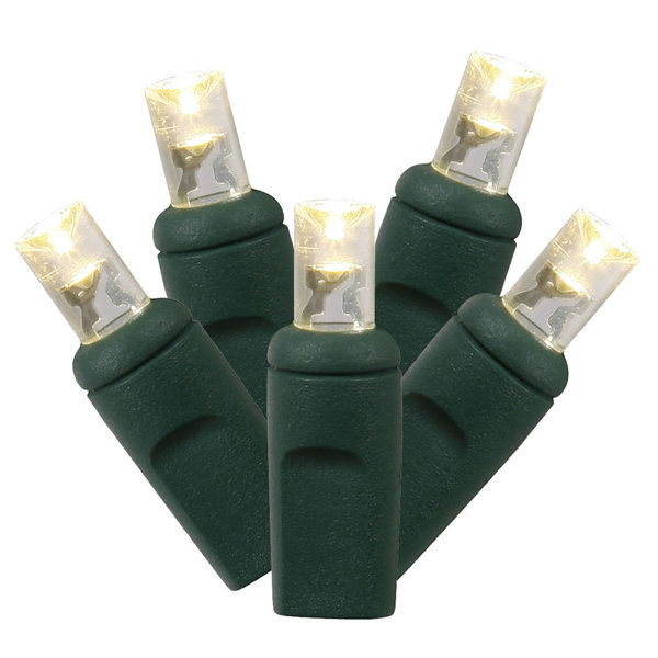 Twinkle Wide Angle LED 70 Light String Lights by The Holiday Aisle