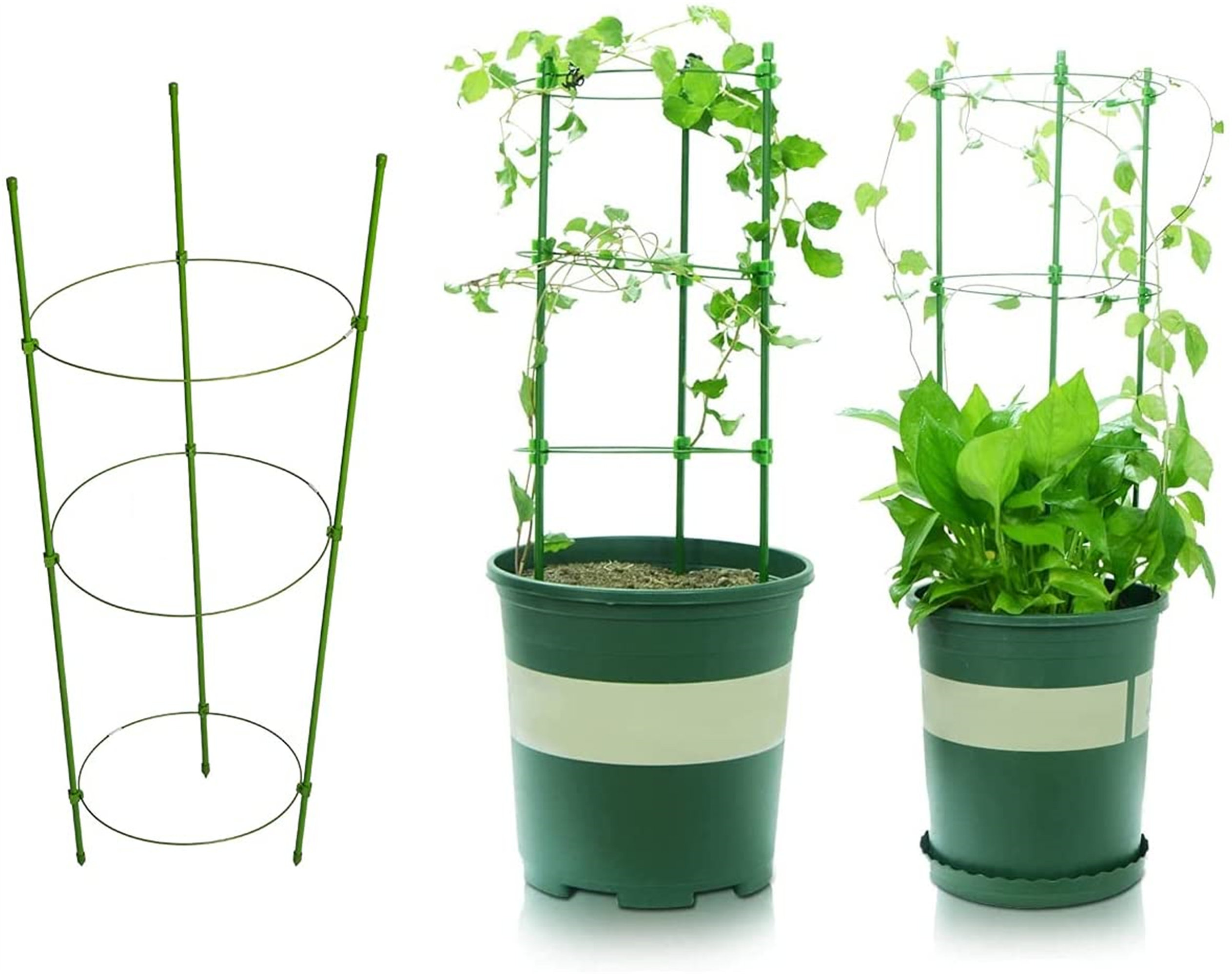 Details about   2 Pack Tomato Cages Stands 24” Plant Support Garden Trellis Tomatoes Rings 