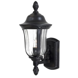 Morgan Park 1-Light Outdoor Sconce