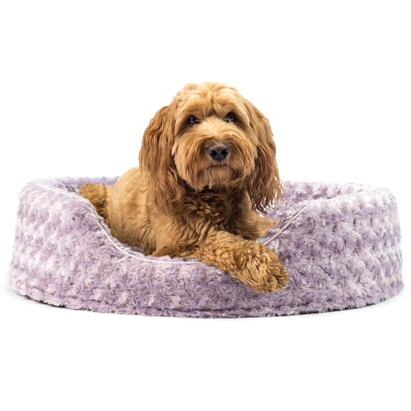 Ernie Ultra Plush Oval Pet Bed with Removable Cover by Archie & Oscar