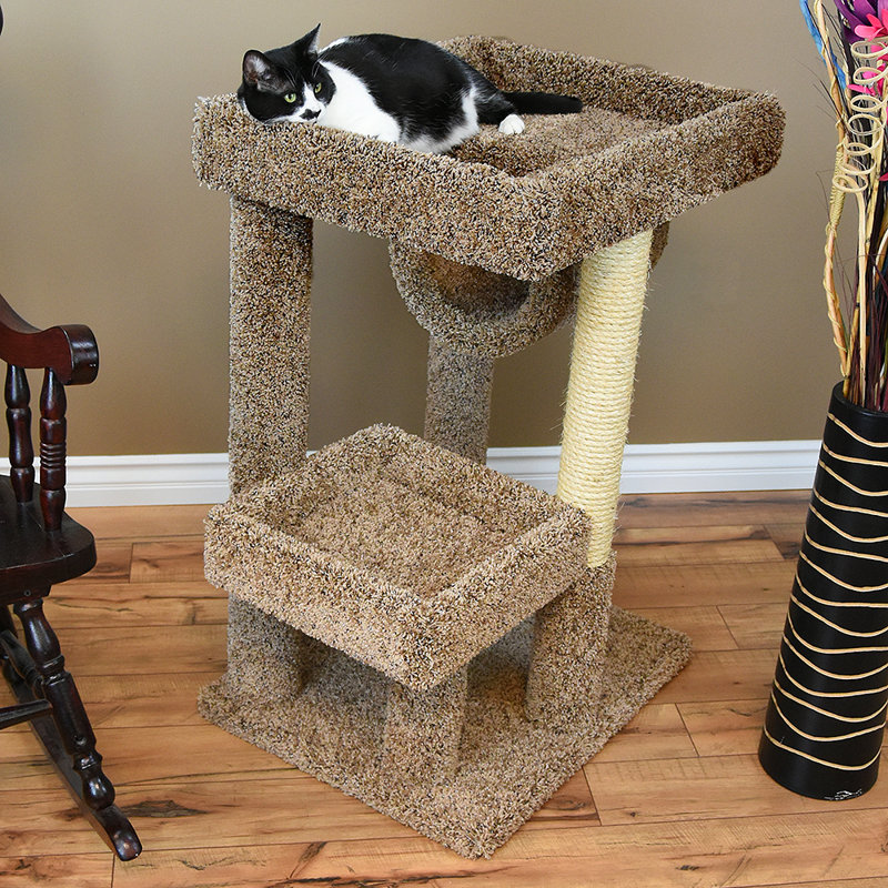 New Cat Condos 38" Premier Cat Perch & Reviews Wayfair