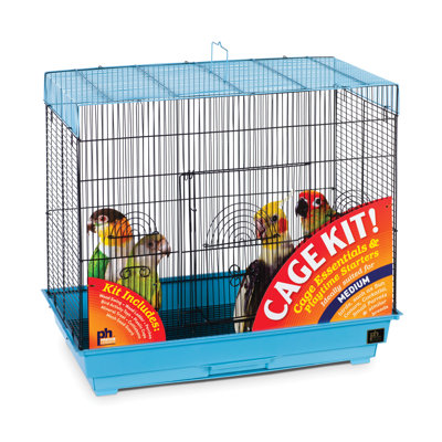 Flight Keet/Tiel Bird Starter Kit Prevue Hendryx