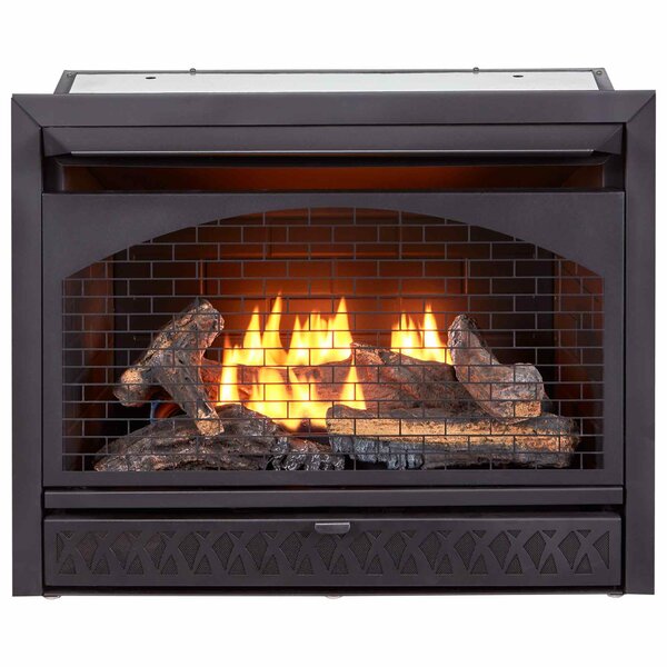 Review Heating Vent Free Propane/Natural Gas Fireplace Insert