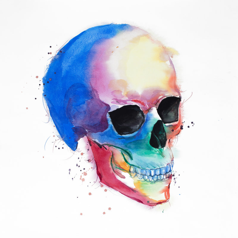 Wrought Studio Skull Profile Oil Painting Print On Wrapped