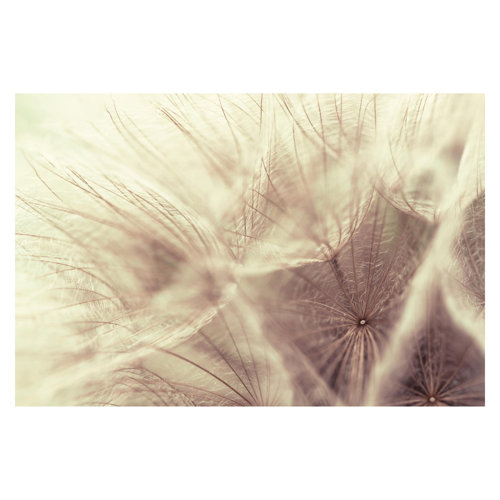 Detailed Dandelions 2.55m x 3.84m Textured Matte Peel & Stick Wall Mural East Urban Home