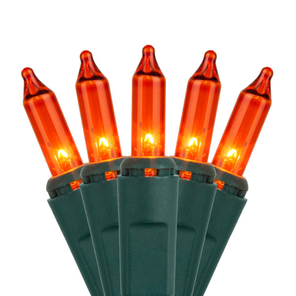 Mini 50 Light String Light by The Holiday Aisle