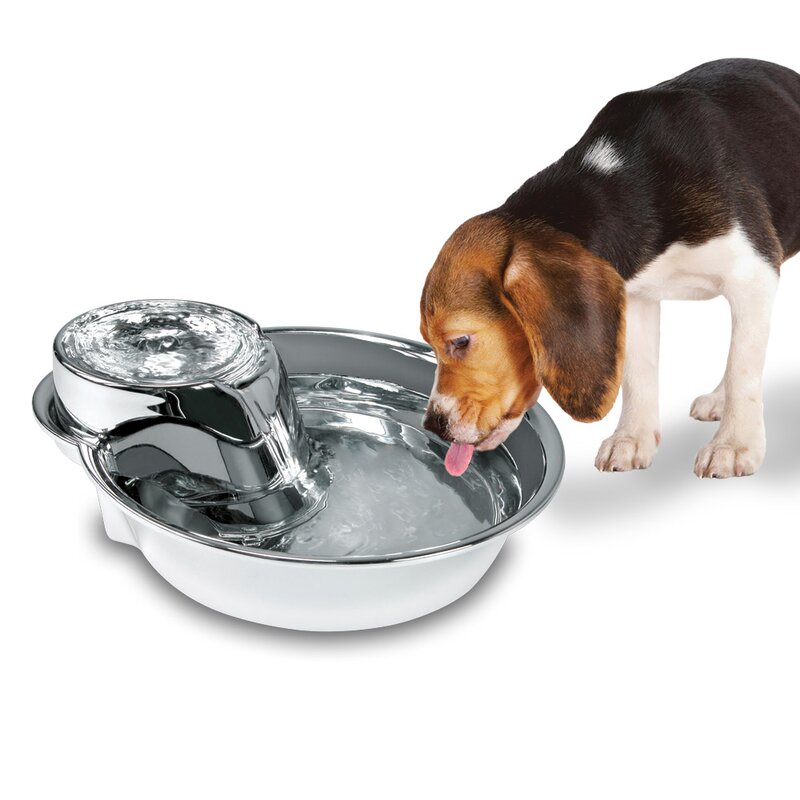 self dispensing dog water bowl