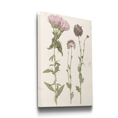 Red Barrel Studio 'Pressed Blooms III' - Wrapped Canvas Painting Print Red Barrel Studio® Size: 48" H x 32" W x 1.5" D