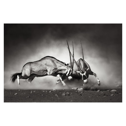 Wild Fight 3.2m x 4.8m Textured Matte Peel & Stick Wall Mural East Urban Home