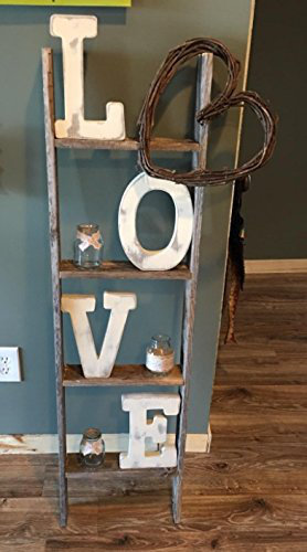 Ladder Bookcase by BarnwoodUSA