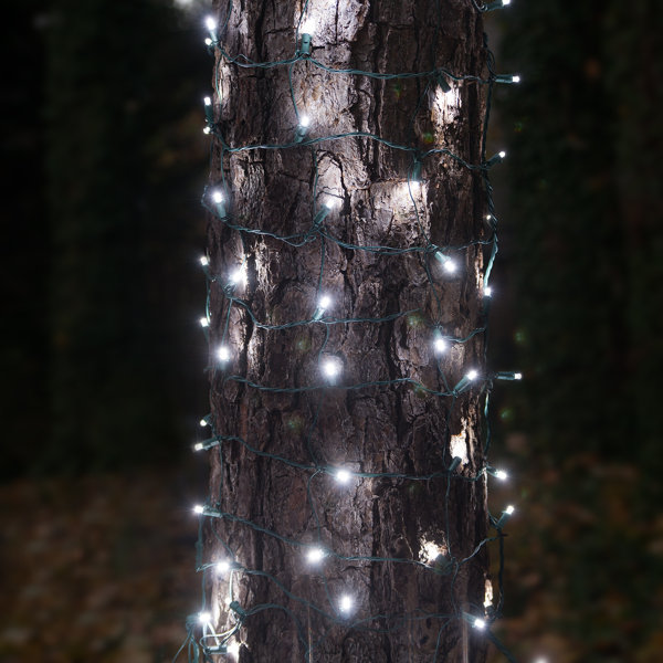 100 LED Christmas Trunk Wrap Light by Wintergreen Lighting