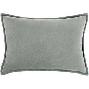 sage velvet pillow