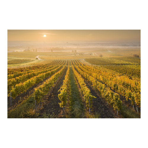 Autumnal Vineyards outside Vienna 3.2m x 4.8m Embossed Matte Peel & Stick Wallpaper Roll East Urban Home