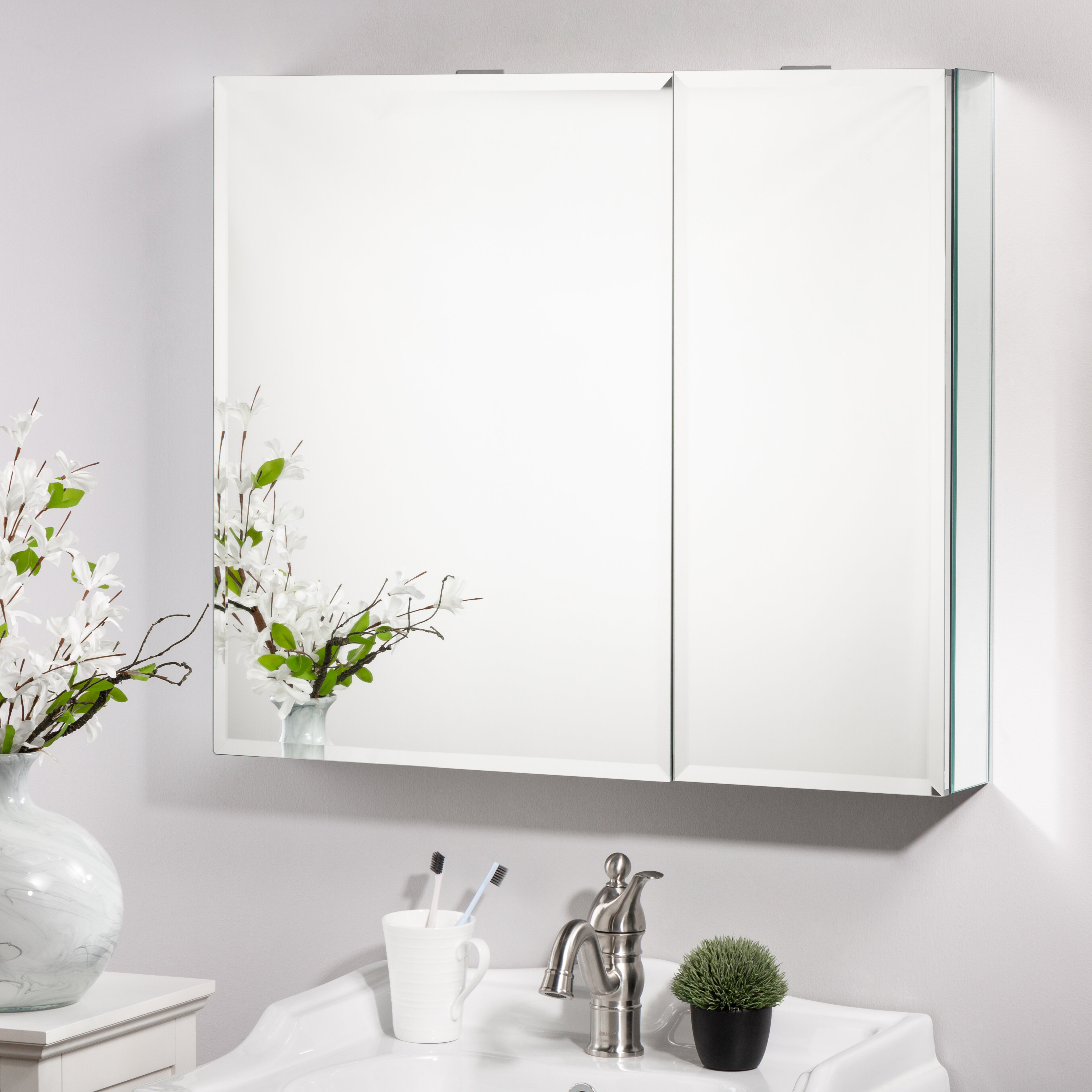 Orren Ellis Brunot Recessed Or Surface Mount Frameless 2 Doors