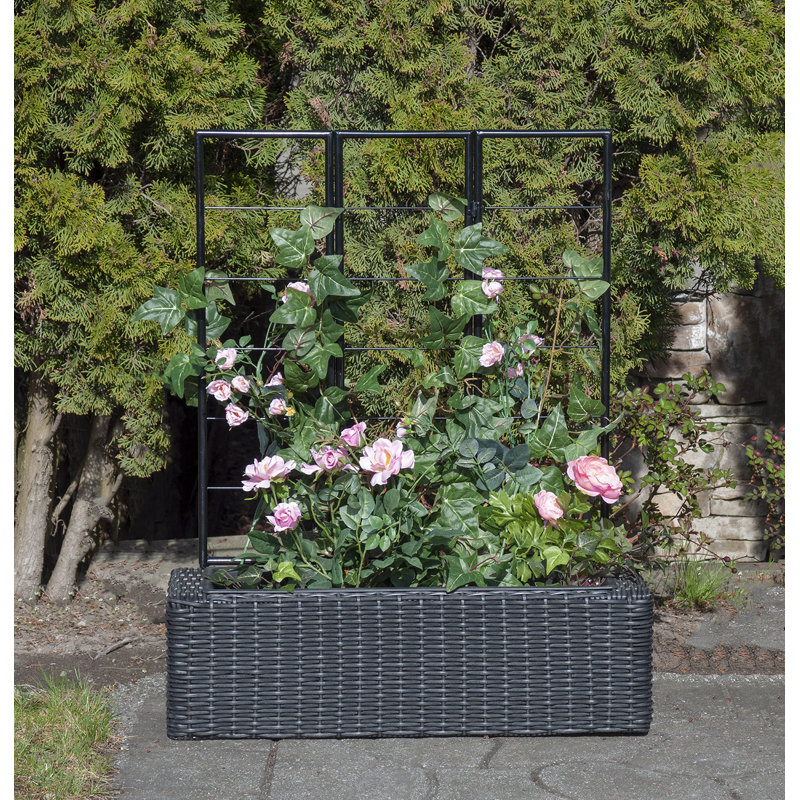 Bloomsbury Market Dionisio Resin Wicker Planter Box with