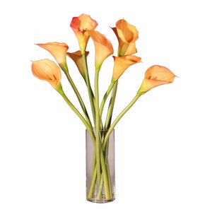 Floral Calla Lilies in Water