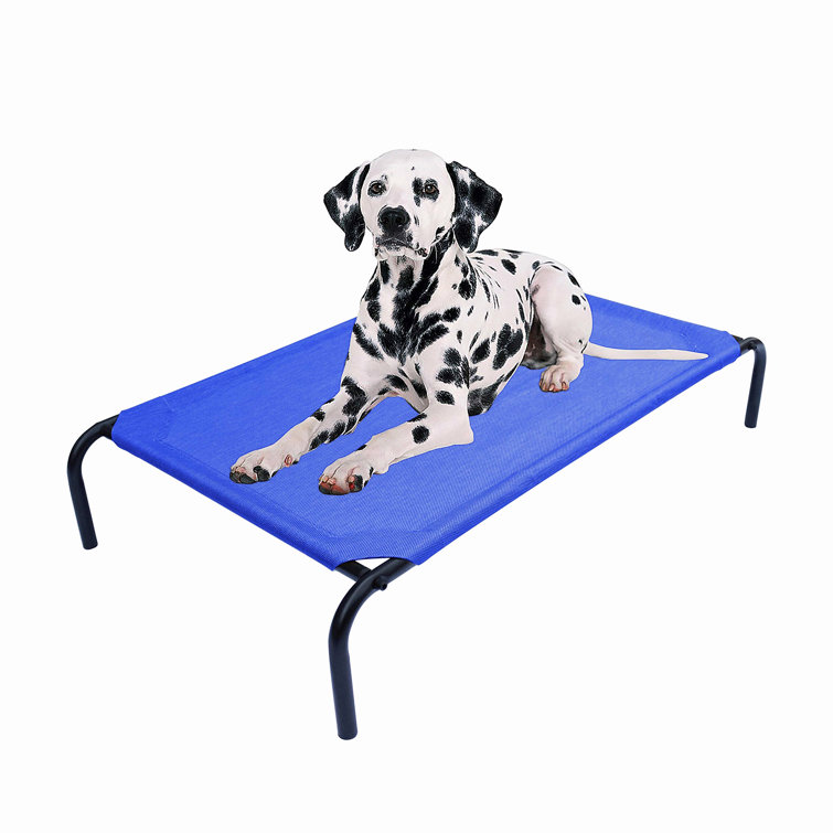 elevated cooling dog bed