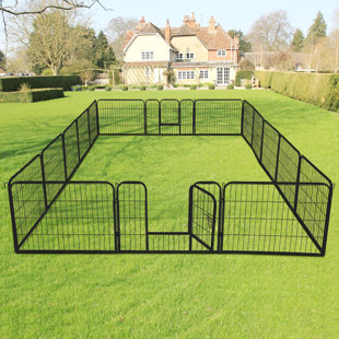 large dog play yard