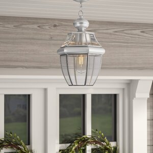 Gustavson 1-Light Outdoor Hanging Lantern