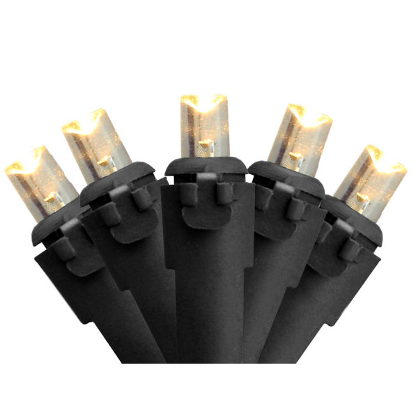 Wide Angle Christmas 50 Light String Lighting with Lamp Lock by The Holiday Aisle