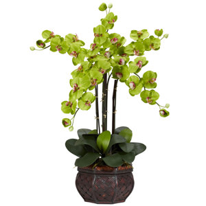 Phalaenopsis with Decorative Vase Silk Flowers in Green