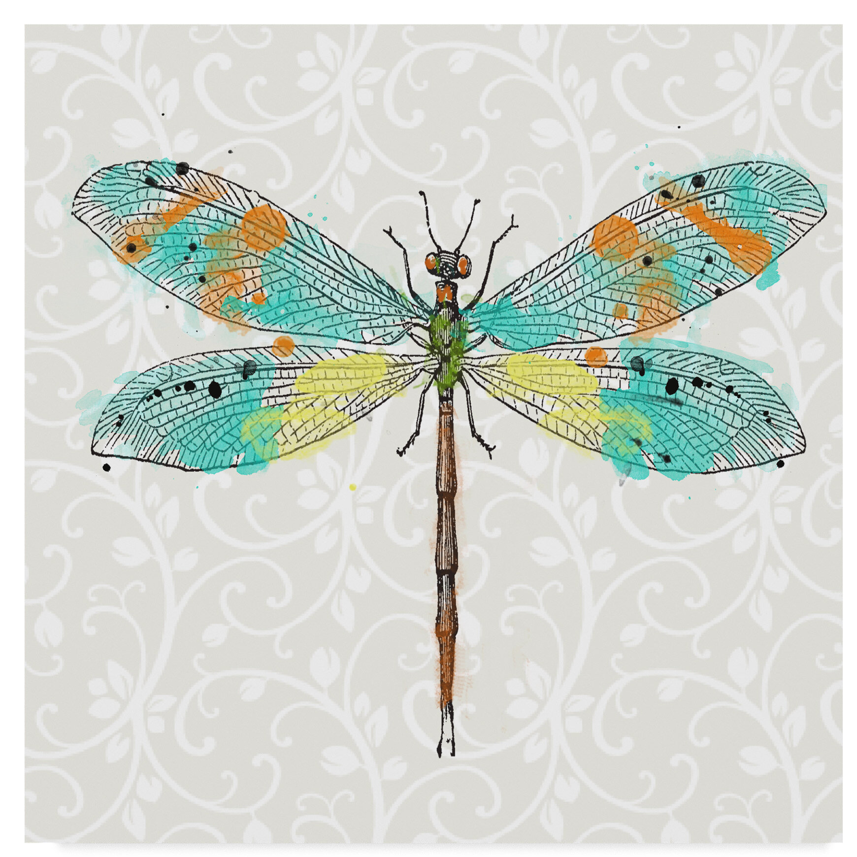 Dragonfly Fine Art Print Art Collectibles Prints Deshpandefoundationindia Org