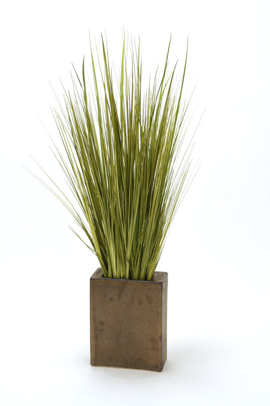 Distinctive Designs Mix Grass in Rectangular Decorative Vase & Reviews